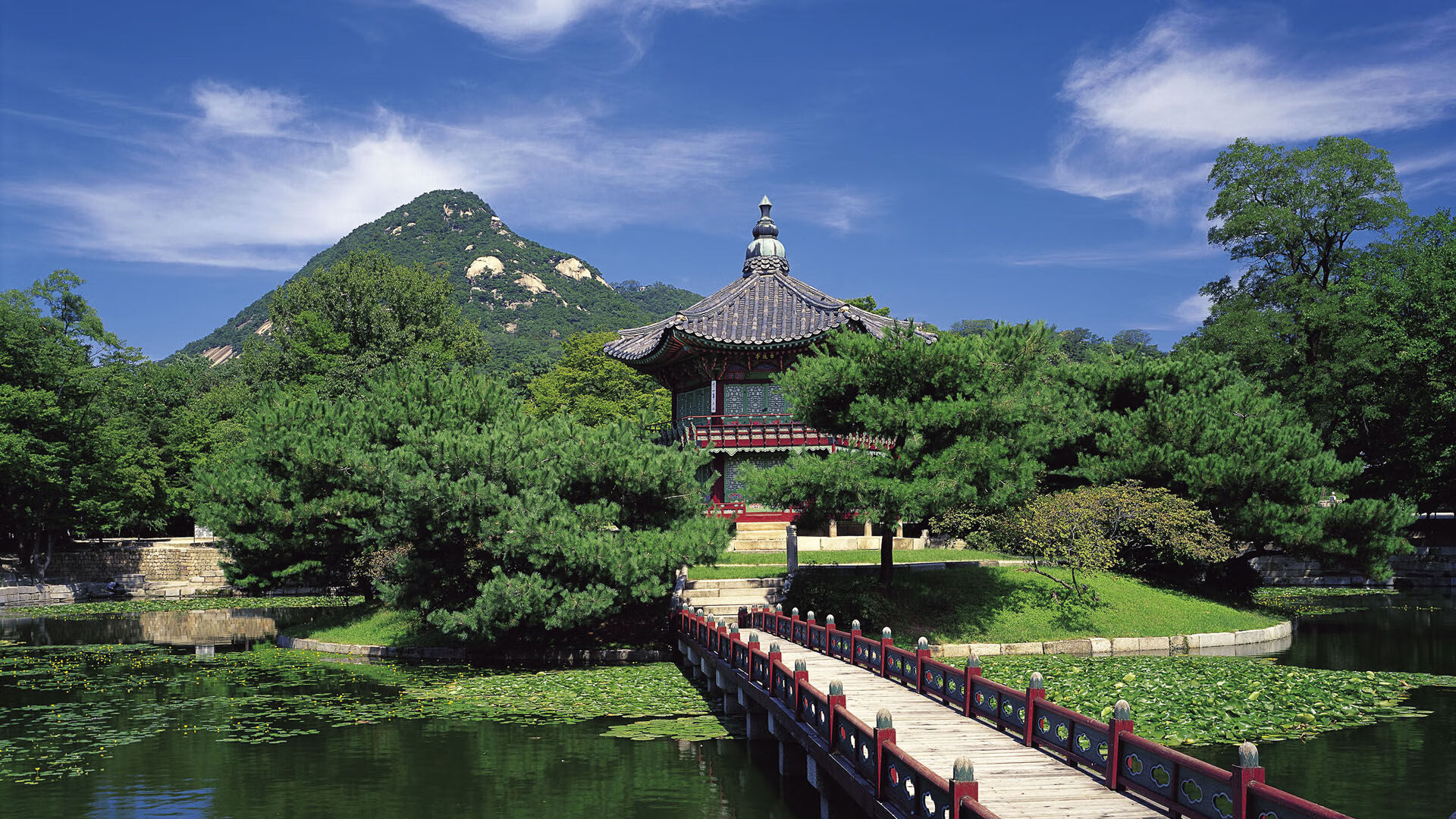 Chinese Taipei乒乓球队战术：从弱点挖掘到精准制敌，乒乓球在台湾叫什么