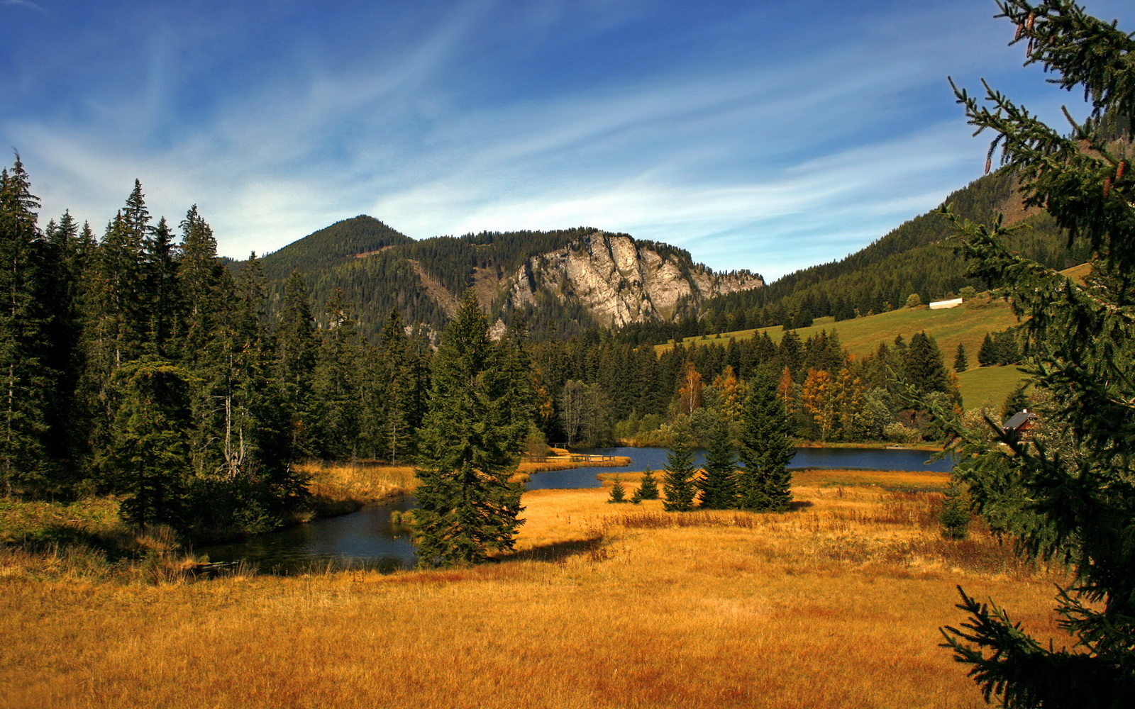 黄蜂外线球员带伤训练展现职业精神，黄蜂户外