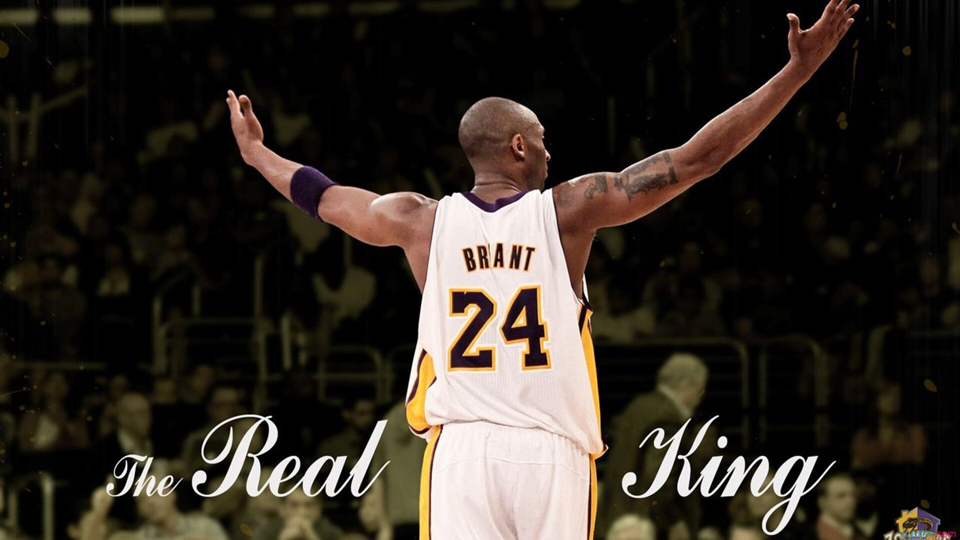 历史上的今天:球队夺冠的经典瞬间,球队历史战绩